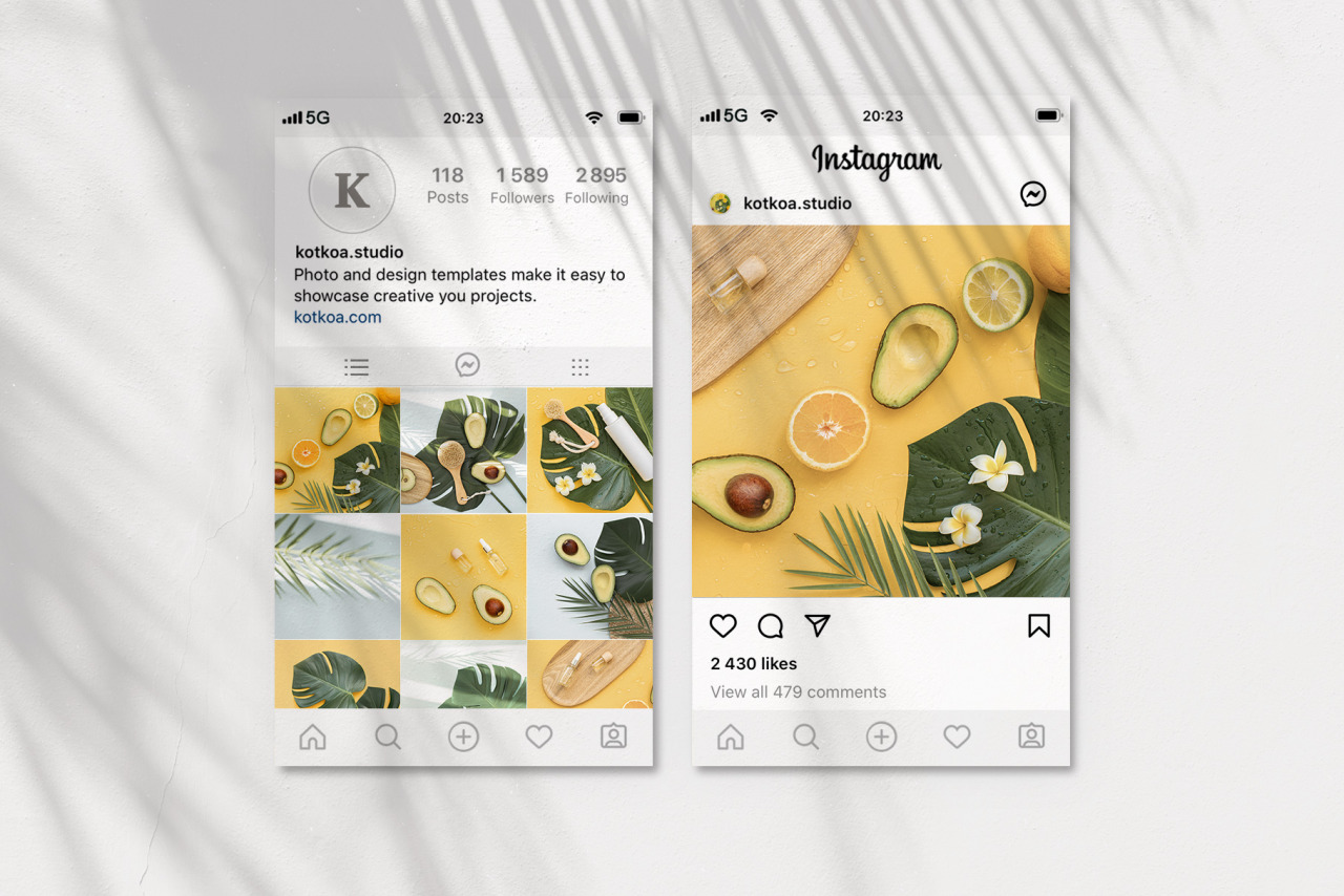 17 Avocado Photo Bundle